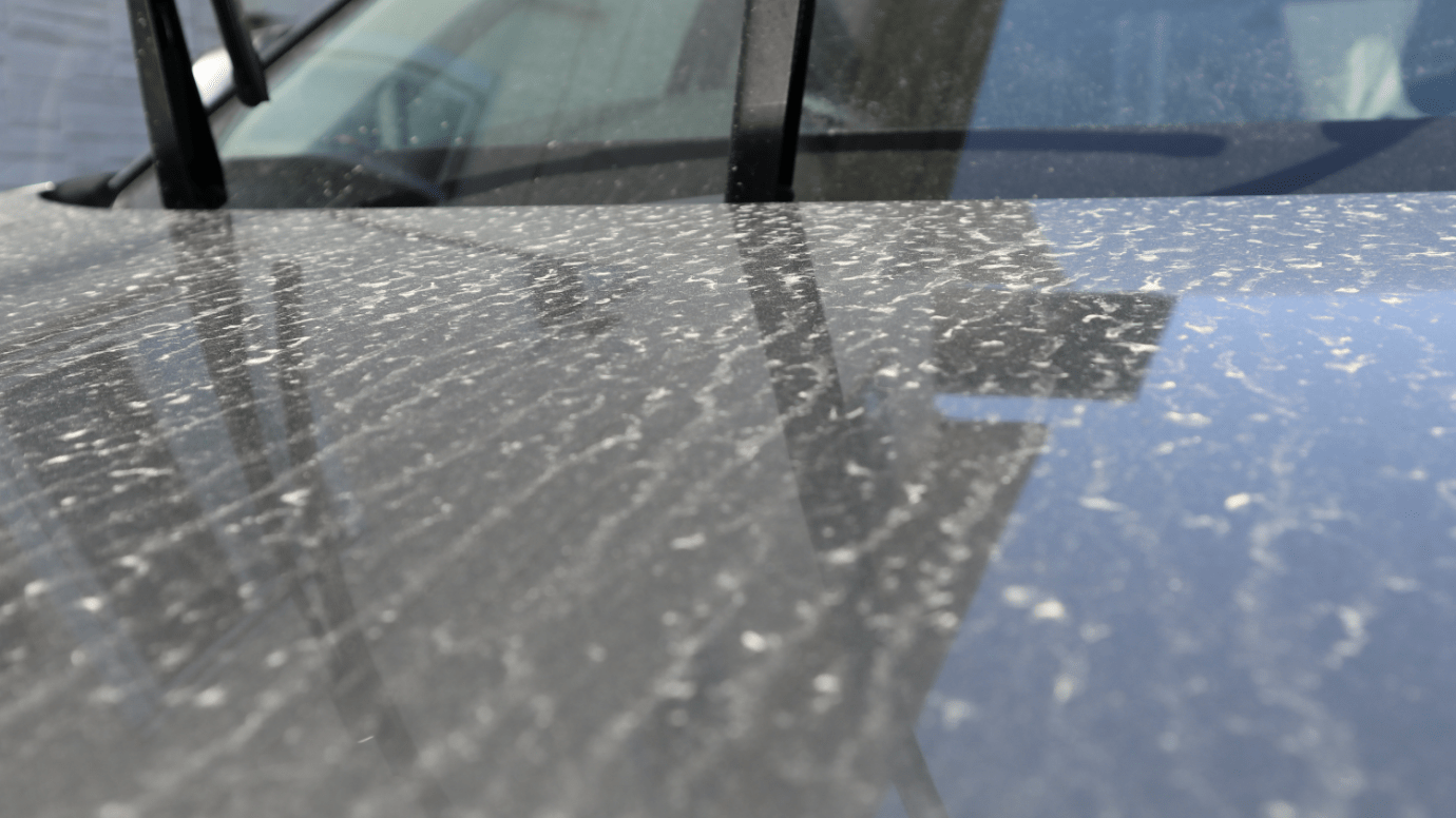 車に付着する水垢の種類と原因 水垢の洗浄方法と予防方法を解説 Cars Life