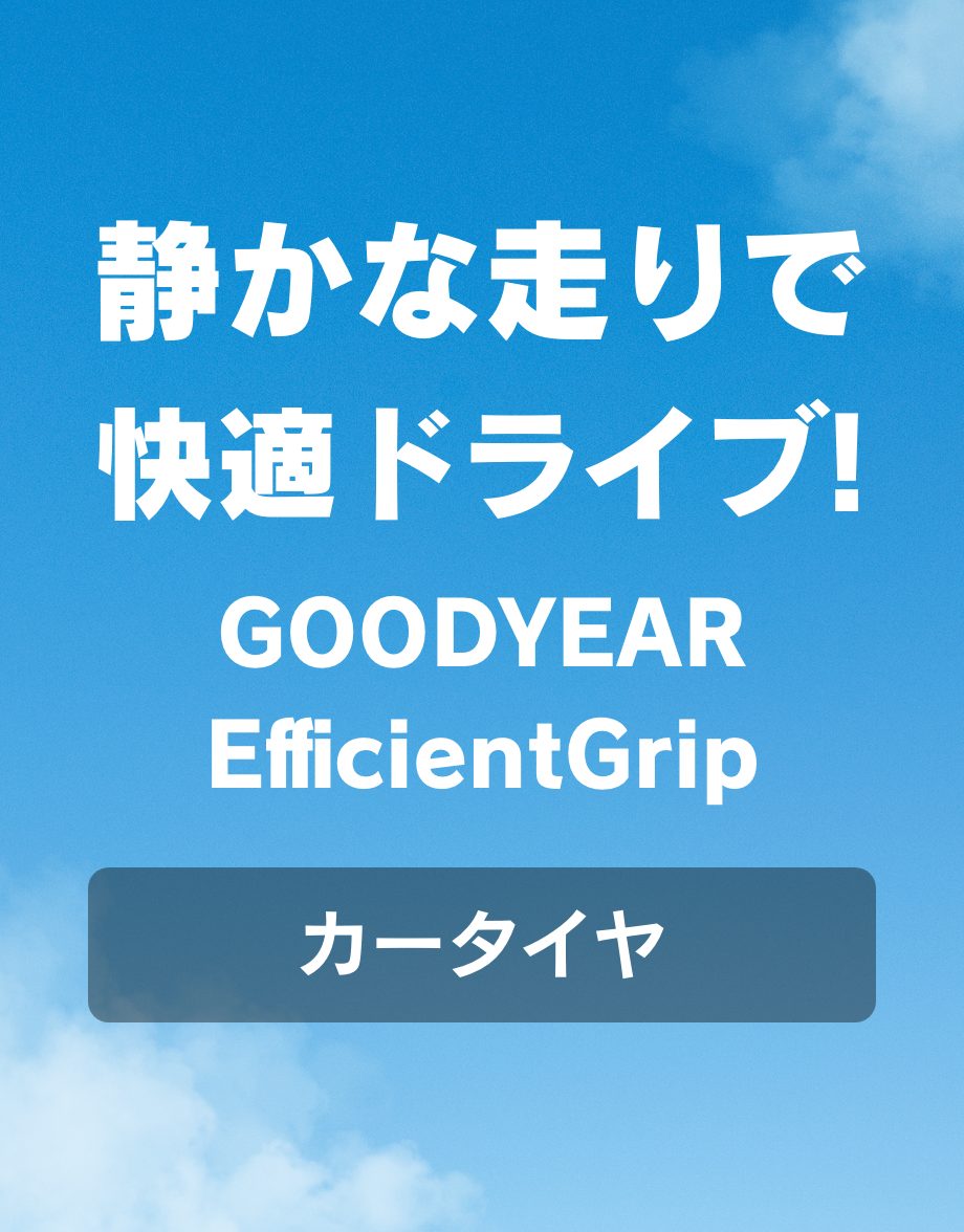 GOODYEAR EfficientGrip ECO EG02
